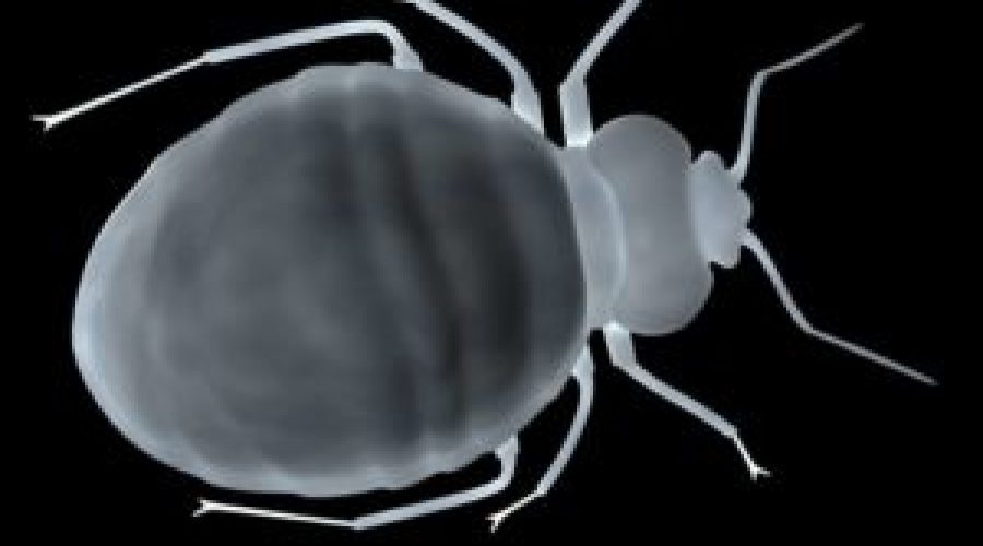 Depositphotos_10076784_l-2015-e1573614275580-300x300